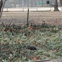 DSCN1203.JPG