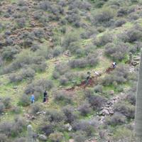 105-0532_IMG.JPG