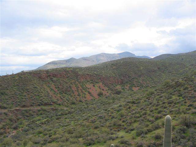 105-0533_IMG.JPG