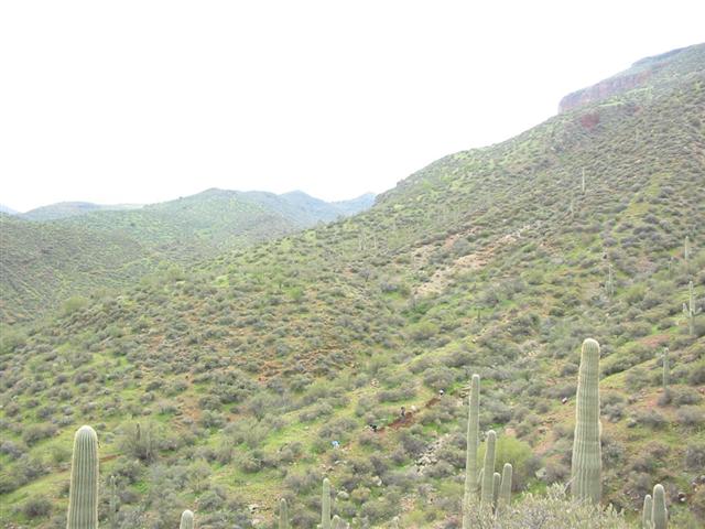 105-0534_IMG.JPG