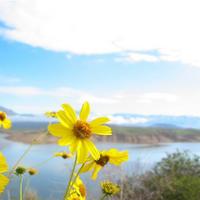 105-0572_IMG.JPG
