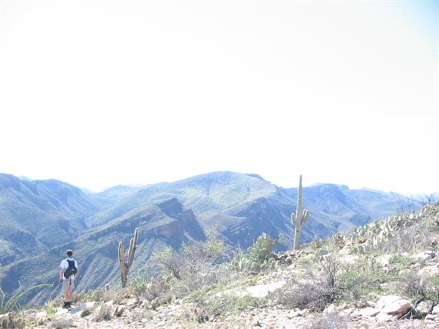 105-0581_IMG.JPG