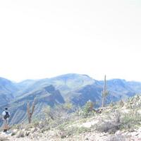 105-0581_IMG.JPG