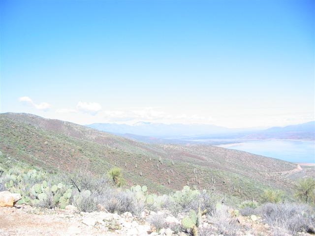105-0583_IMG.JPG