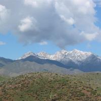 105-0589_IMG.JPG