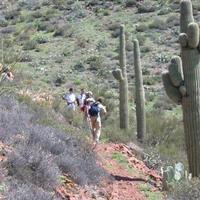 105-0591_IMG.JPG