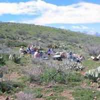 105-0593_IMG.JPG