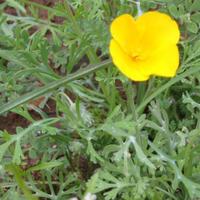 105-0595_IMG.JPG