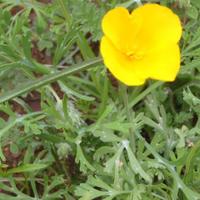 105-0596_IMG.JPG