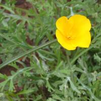 105-0597_IMG.JPG