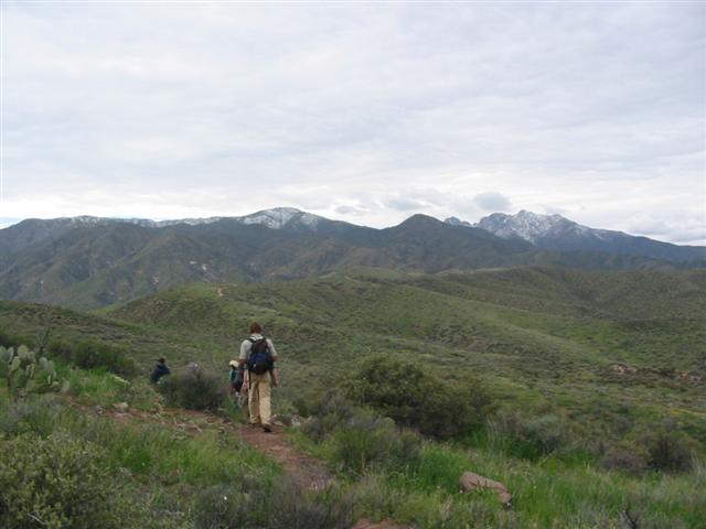 105-0598_IMG.JPG