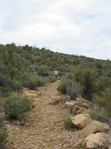 106-0603_IMG.JPG