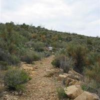 106-0603_IMG.JPG