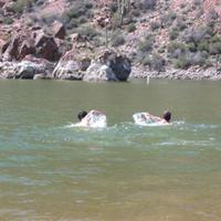 106-0649_IMG.JPG