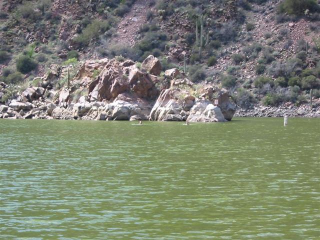 106-0654_IMG.JPG