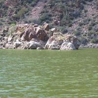 106-0654_IMG.JPG