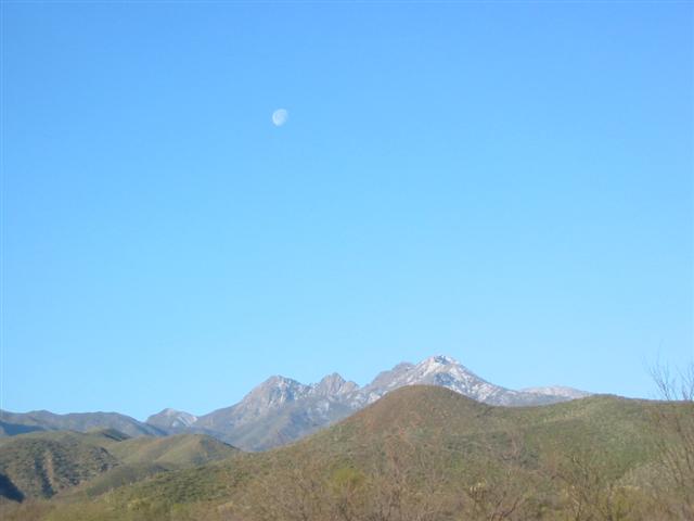 107-0778_IMG.JPG