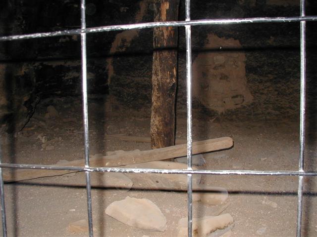 SpringBreak2003 101