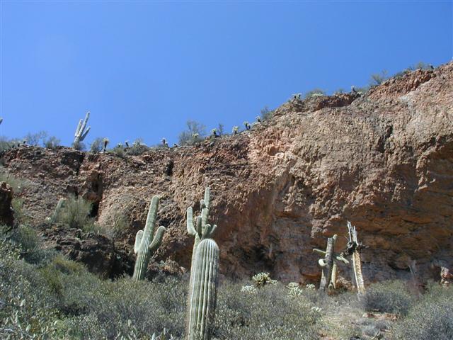 SpringBreak2003 105