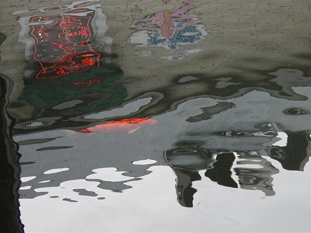 P1010023.JPG