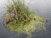 P1010025_th.JPG