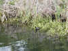 P1010026_th.JPG