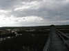 P1010030_th.JPG