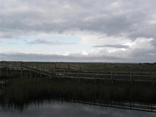 P1010031.JPG