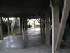 P1010038_th.JPG