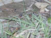 P1010045_th.JPG