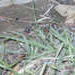 P1010045_th.JPG