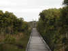 P1010046_th.JPG