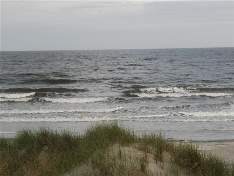 P1010047.JPG