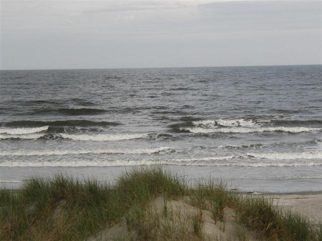 P1010047.JPG