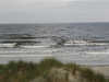 P1010047_th.JPG