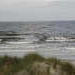 P1010047_th.JPG
