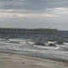 P1010048_th.JPG
