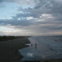 P1010059.JPG