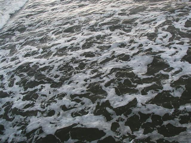 P1010060.JPG