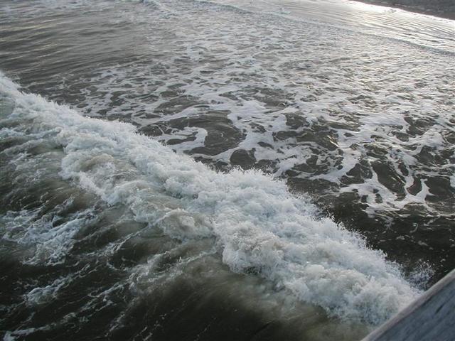 P1010061.JPG