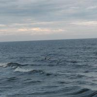 P1010062.JPG