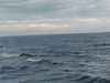 P1010062_th.JPG