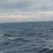 P1010062_th.JPG