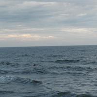 P1010063.JPG