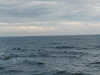 P1010063_th.JPG