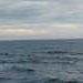 P1010063_th.JPG