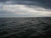 P1010064_th.JPG