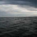 P1010064_th.JPG