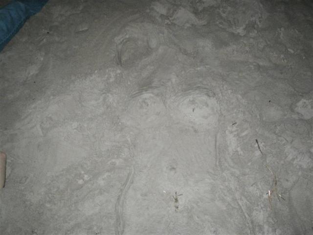 P1010085.JPG