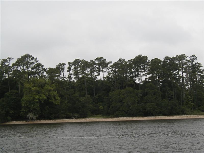 P1010024.JPG